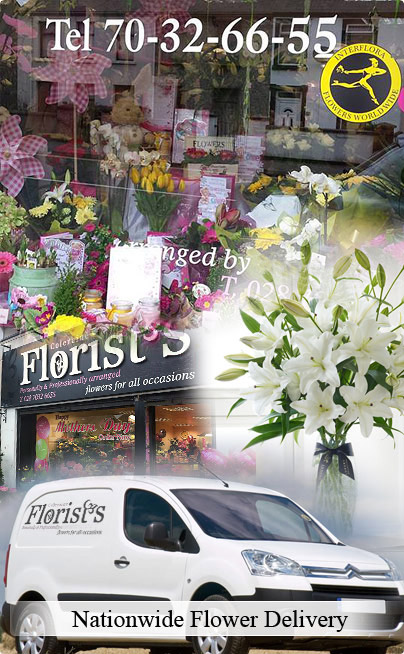 Nationwide Flower Delivery