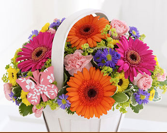 Care for your Bouquet Care for your Bouquet